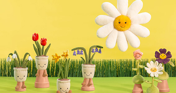 kategorie-SPRING