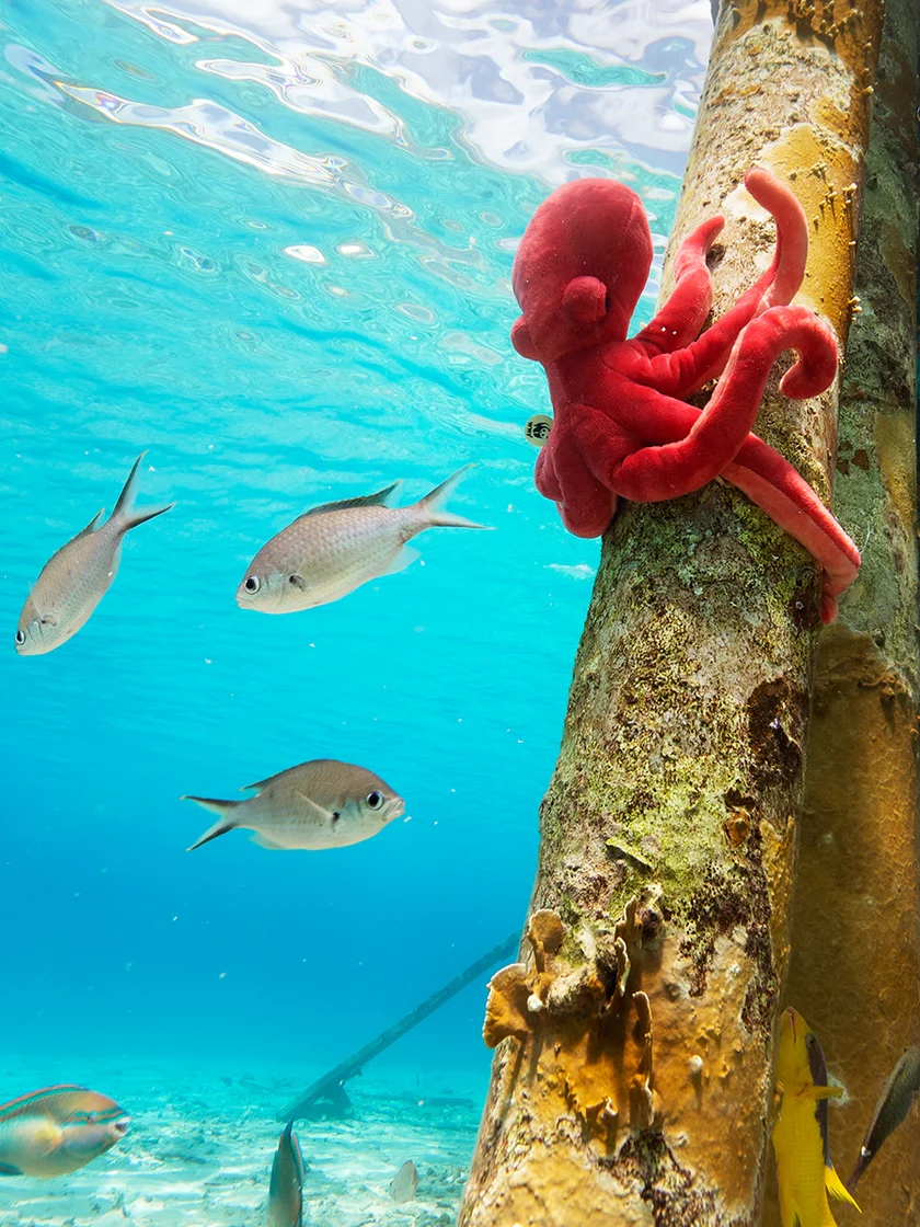 Bon Ton Toys - WWF Eco Octopus Pink – Bild 3